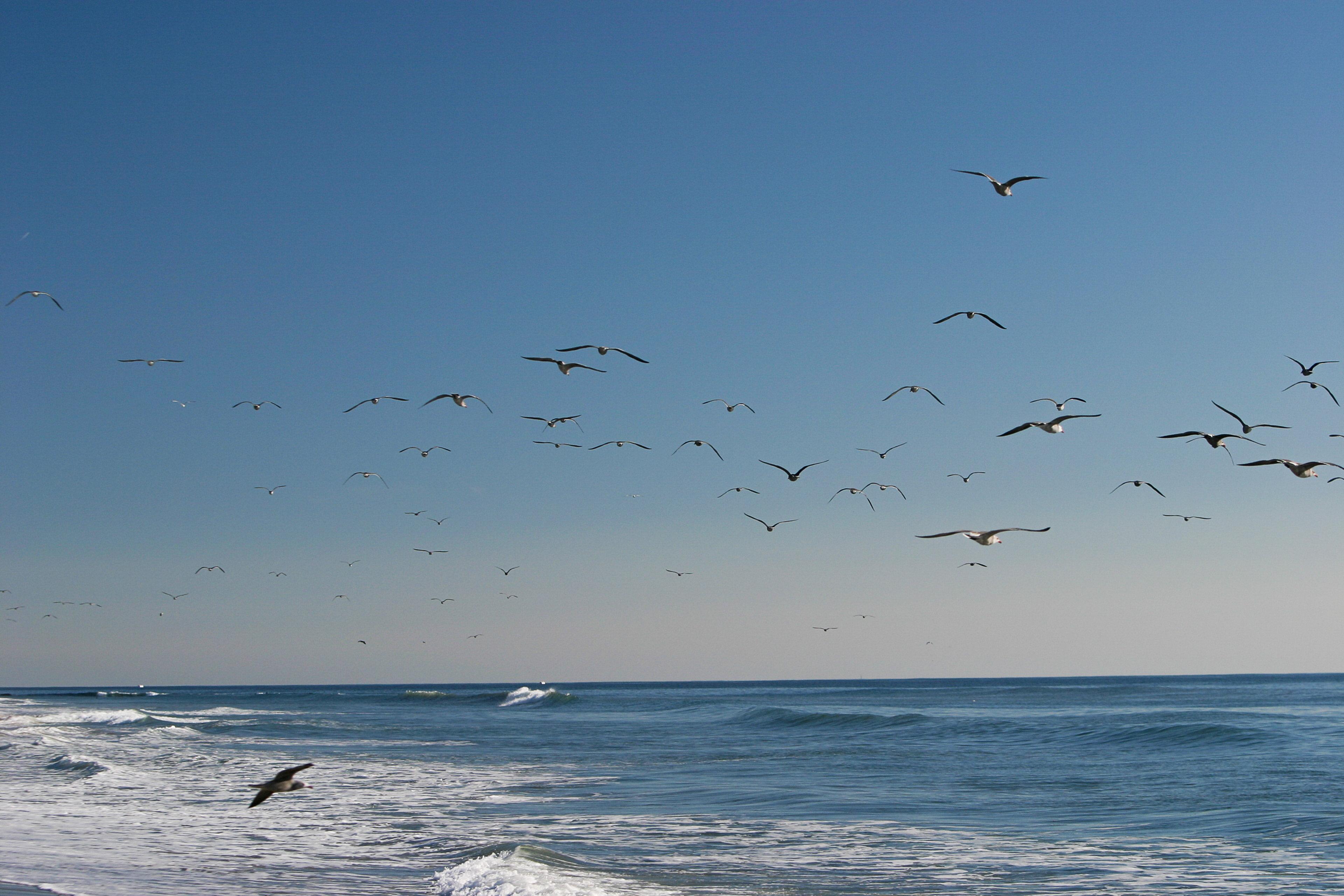 Holiday Inn Express & Suites Carpinteria By Ihg Dış mekan fotoğraf